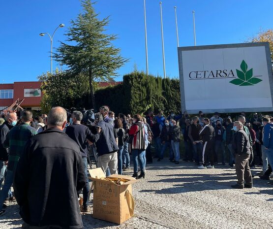 Los tabaqueros extremeños dejarán de entregar 1,1 millones de kilos de su producción a la industria durante esta semana