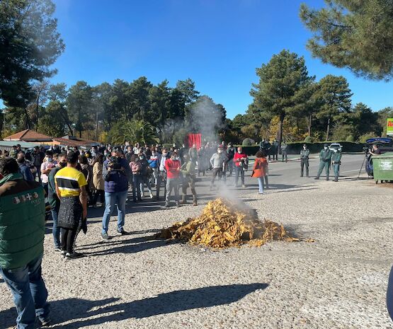 Los tabaqueros extremeños plantearán sus demandas al presidente de la Junta el próximo lunes