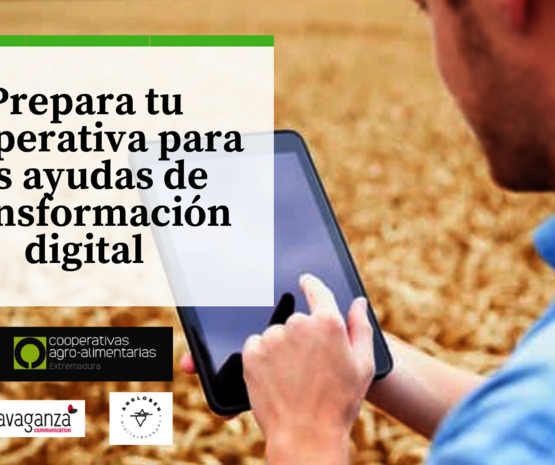 Cooperativas Extremadura promueve la digitalización de las cooperativas de la región
