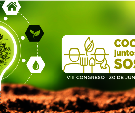 Toledo acogerá el VIII Congreso de Cooperativas Agro-alimentarias de España los días 30 de junio y 1 de julio