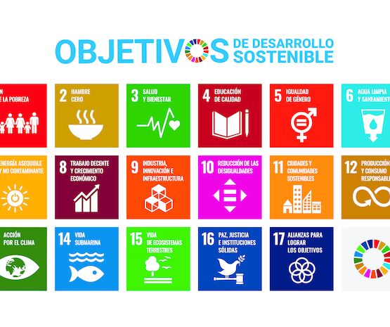 ¿Cuáles son los ODS?