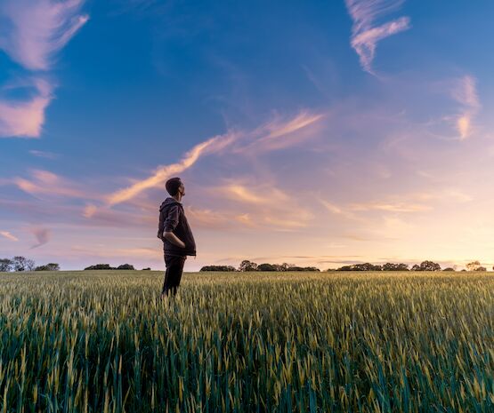 Cooperativas Agroalimentarias comprometidas con los ODS