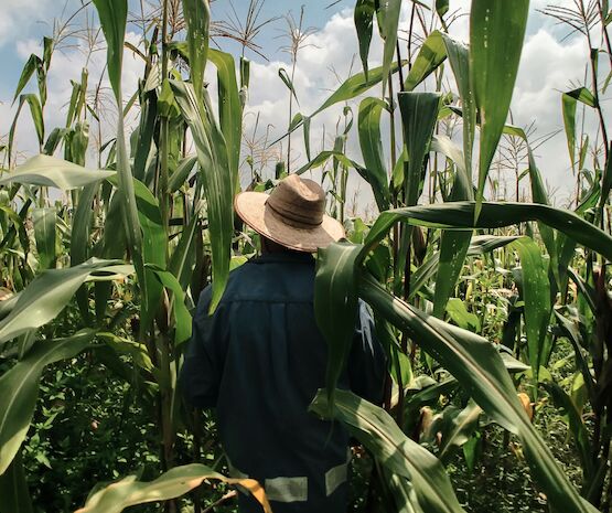 Las cooperativas extremeñas aportan importantes acciones a la consecución de los ODS