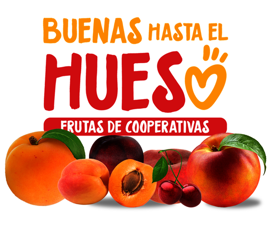 La iniciativa 'Buenas hasta el Hueso' anima a disfrutar de la fruta de hueso de cooperativas