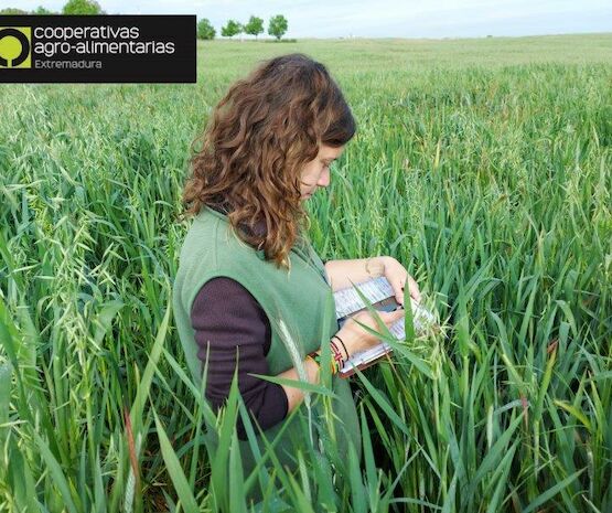 En marcha un plan para impulsar la participación activa de mujeres en órganos de gestión de cooperativas agroalimentarias de Extremadura
