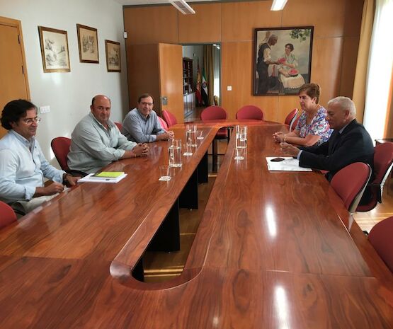 Cooperativas Extremadura pide la aplicación de sanciones contundentes para evitar robos de aceitunas en explotaciones y cooperativas