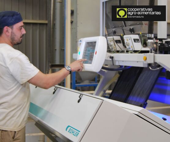 Convocadas ayudas por más 33 millones de euros para impulsar la integración asociativa de cooperativas