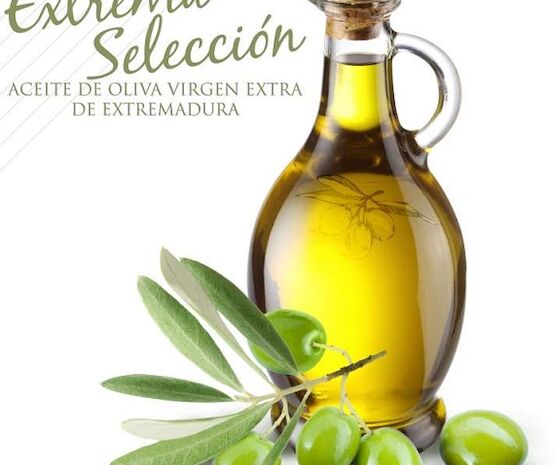 Convocada XXV de Cata Concurso de Aceites de Oliva Virgen Extra 'Extrema Selección 2024'