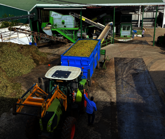 La cooperativa Virgen de la Estrella cumple 60 años