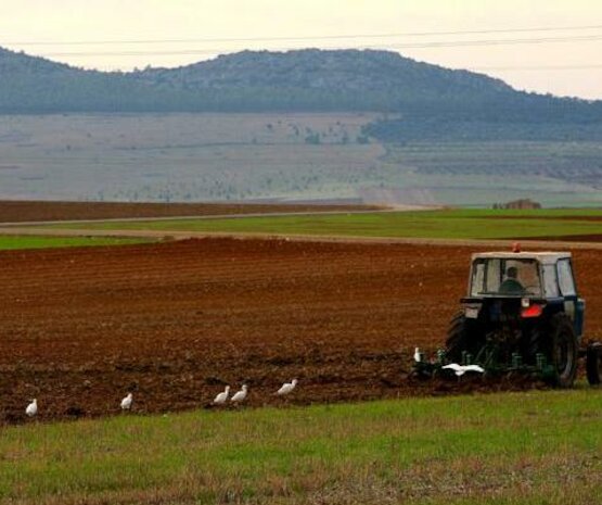 Aprobadas nuevas flexibilidades en la aplicación de la Política Agraria Común