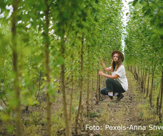 Convocadas las ayudas a jóvenes para incorporarse a la actividad agraria
