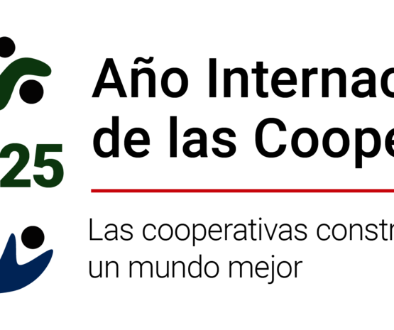 2025 conmemora el Año Internacional de las Cooperativas