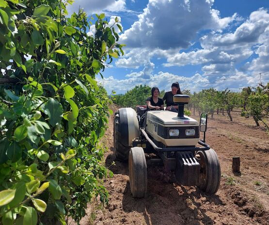 Extremadura concederá préstamos garantizados de hasta 600.000 euros para jóvenes agricultores 