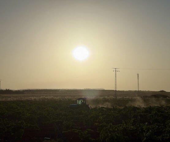El campo extremeño gana fuerza con el innovador proyecto de ahorro energético del grupo cooperativo Viñaoliva
