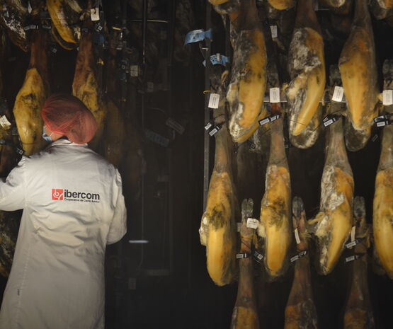 Del pequeño piso de Zafra al liderazgo del ibérico: una cooperativa que ha hecho de la unión su mayor fortaleza