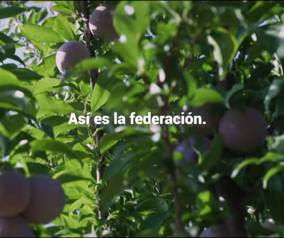 Cooperativas Agro-alimentarias Extremadura muestra en un vídeo la fuerza del cooperativismo agroalimentario de la región