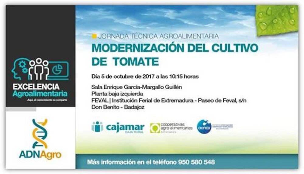Cooperativas Extremadura aborda la modernización del cultivo del tomate en unas jornadas