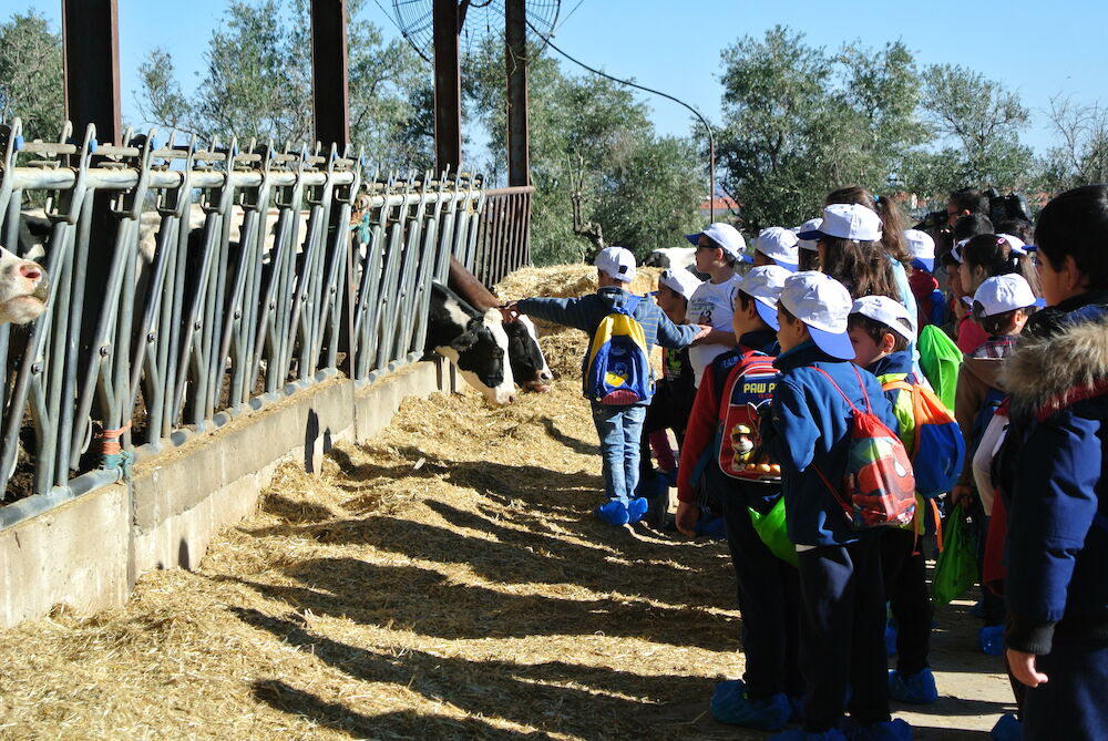 ‘La Granja de Cooprado’ permite a 700 escolares extremeños ser ganaderos por un día