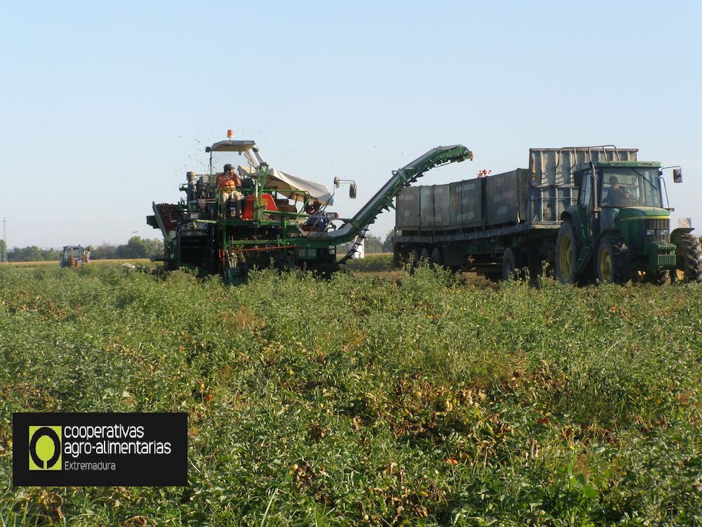 Cooperativas Agro-alimentarias Extremadura lamenta los recortes en la PAC