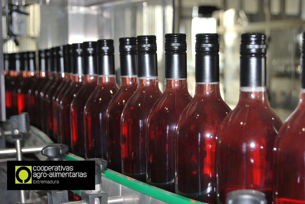 Ya se pueden para solicitar las medidas de promoción del vino extremeño en terceros países