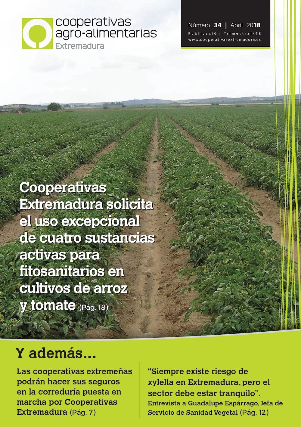 Publicado el número 34 de la revista de Cooperativas Agro-alimentarias Extremadura