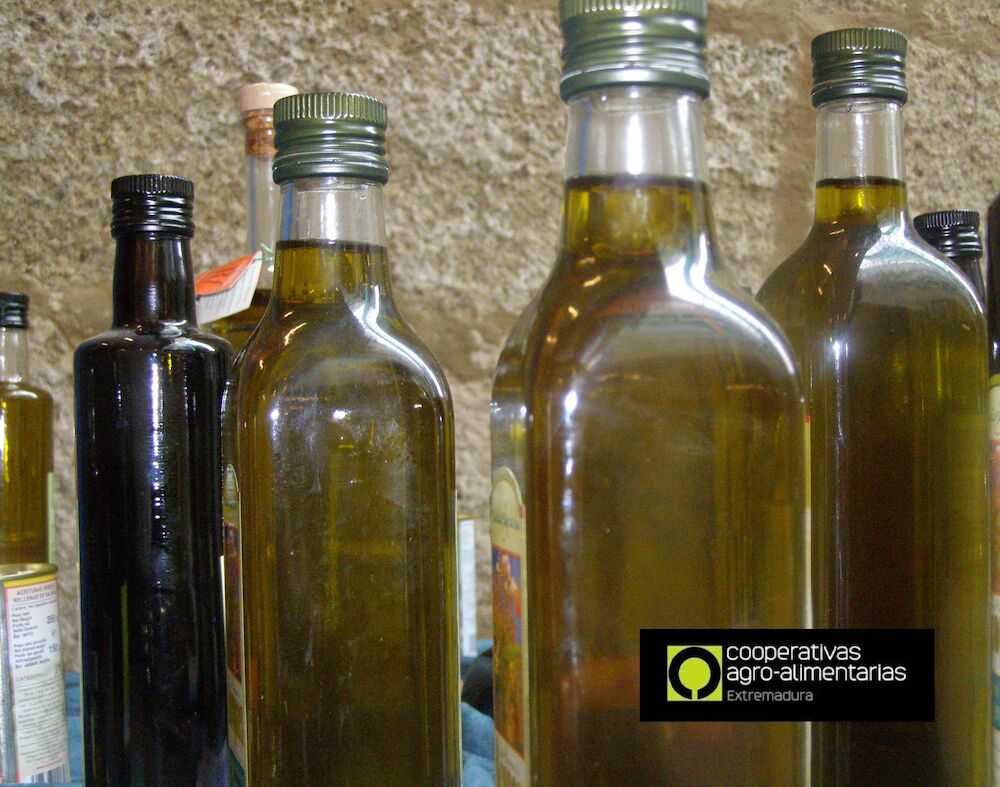 La producción de aceite de oliva en Extremadura roza las 70.400 toneladas