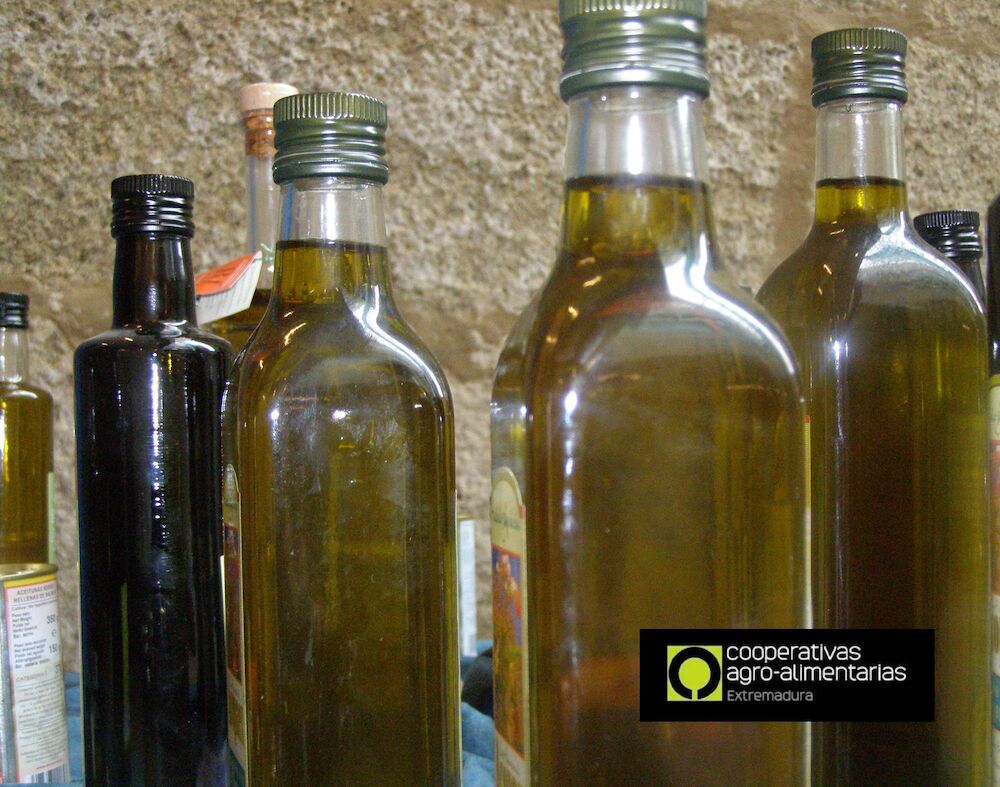 La UE aprueba la activación del almacenamiento privado de aceite de oliva