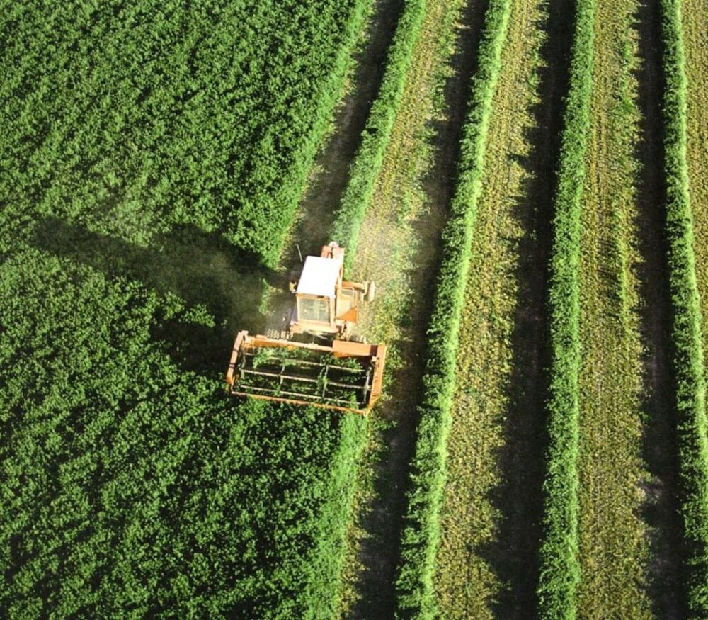 Agricultura empieza a pagar más de 106 de la PAC en Extremadura