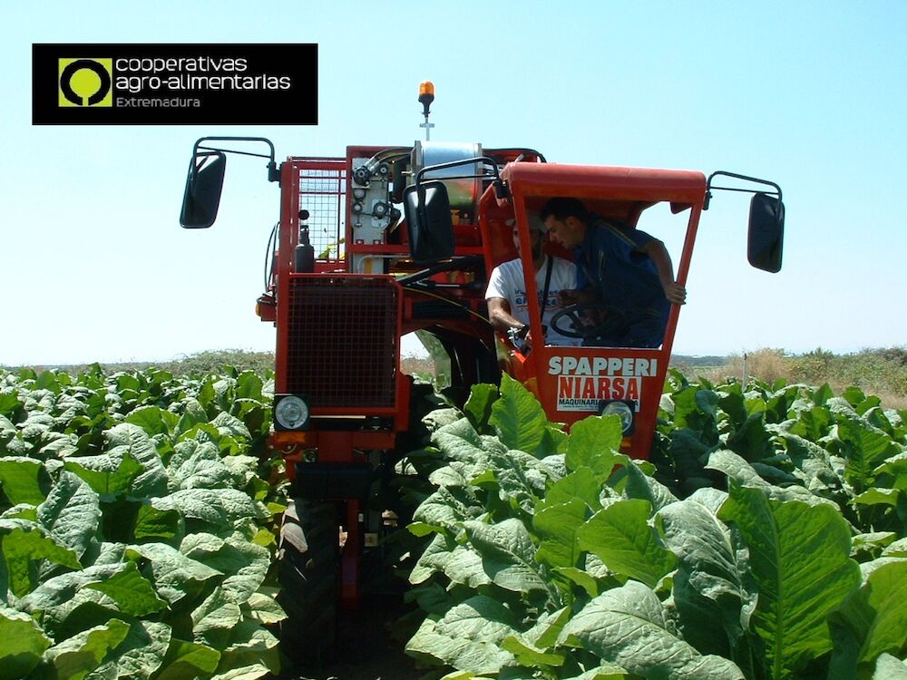 Acabar con un cultivo