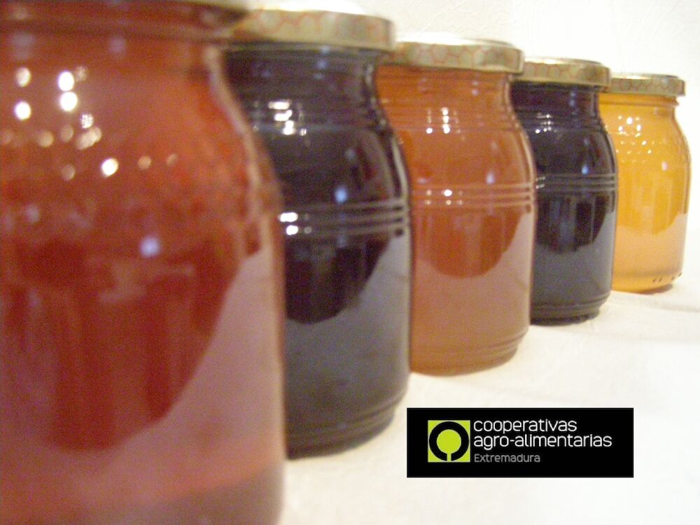 Cooperativas Extremadura defiende un correcto etiquetado de la miel con información clara para el consumidor