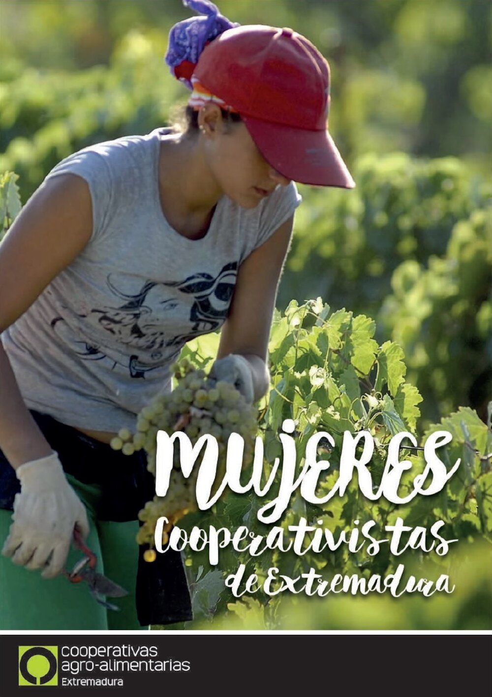 Mujeres Cooperativistas de Extremadura