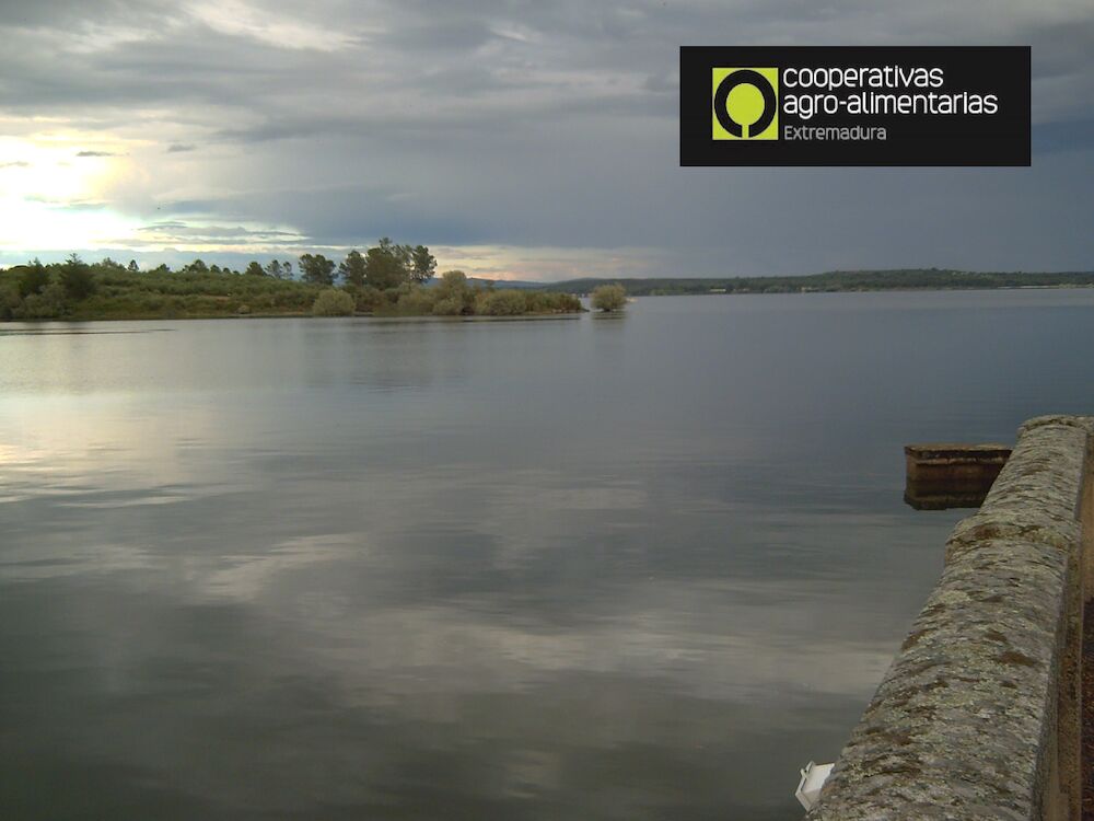 ODS 6: Cooperativas Extremadura crea balsas de acumulación de agua para cultivos permanentes