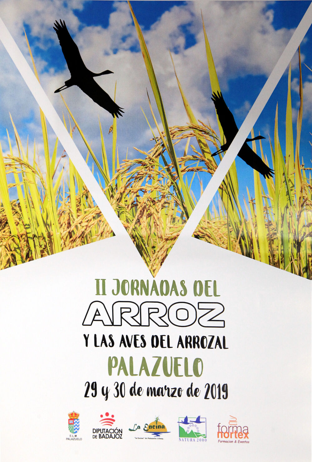 Palazuelo celebra las II Jornadas del Arroz y las Aves de Arrozal el 29 y 30 de marzo