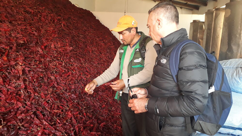 La cooperativa Unión de Productores de Pimentón, de Jaraíz de la Vera, colabora en el fortalecimiento de asociaciones de productores de Bolivia
