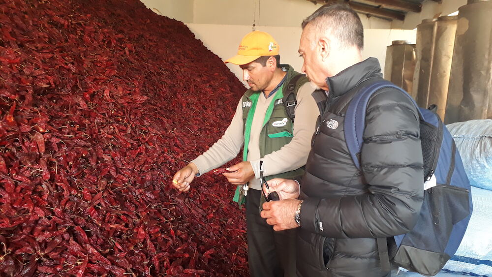 La experiencia de unirse a la misión de Acodea y cultivar el futuro