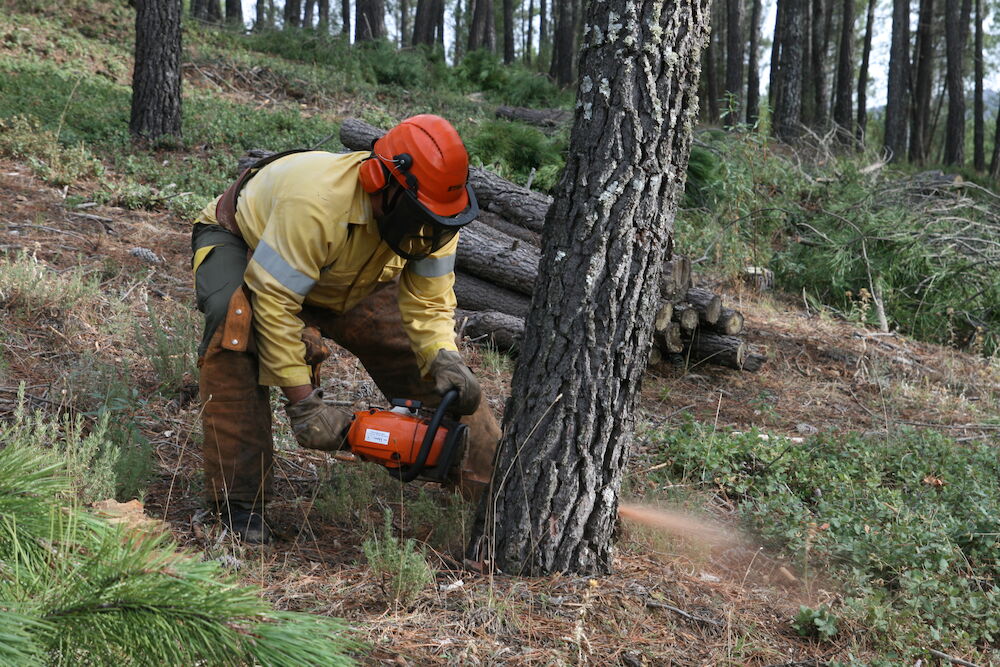 La época de peligro alto de incendios forestales arranca el 1 de junio en Extremadura