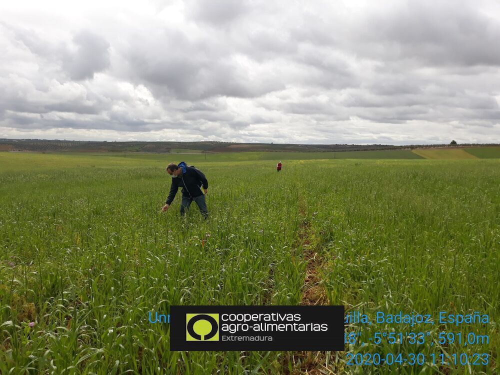 La inestabilidad meteorológica define el año agrario 2020