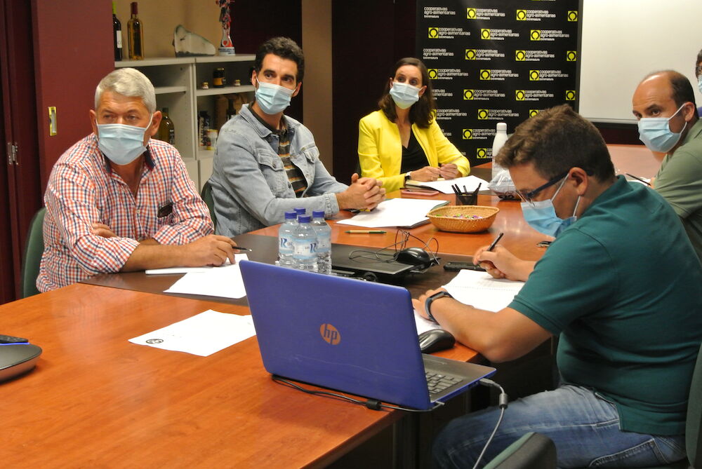 Cooperativas Extremadura plantea mejoras al seguro de tomate para industria para que cubra daños por altas temperaturas persistentes