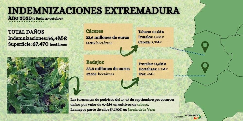 Agroseguro abona 18,2 millones de euros en indemnizaciones por siniestros producidos en Extremadura