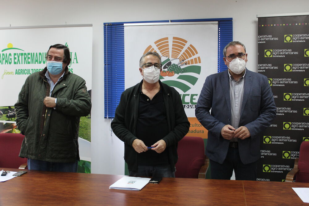 El sector de tabaco paralizarán la entrega a las industrias ante la amenaza de que el cultivo quede fuera de la PAC