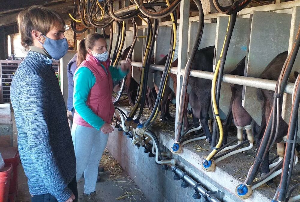 Cooperativas Extremadura pone en marcha el intercambio de experiencias y formación entre jóvenes del sector agrario