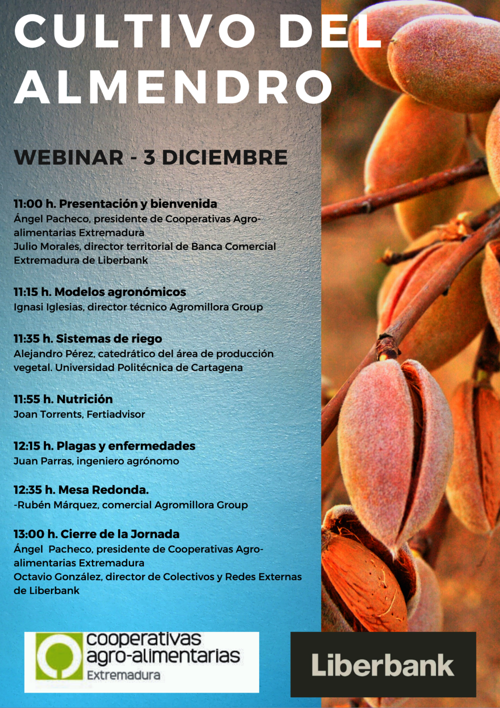 El cultivo del almendro centra un seminario online de Cooperativas Extremadura