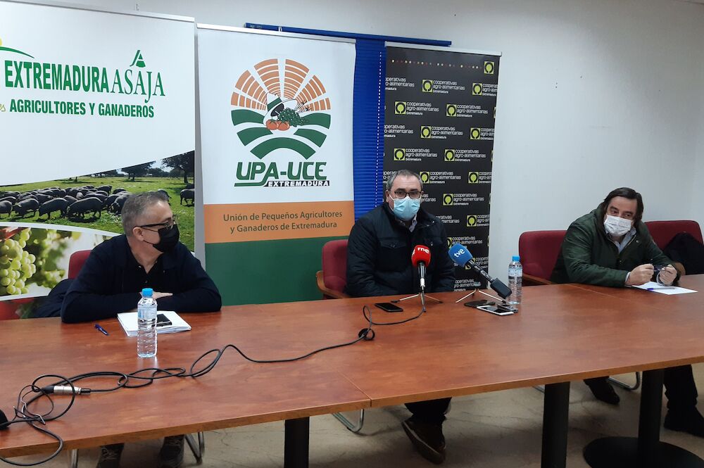 Cooperativas Extremadura y organizaciones agrarias convocan movilizaciones en defensa del cultivo de tabaco