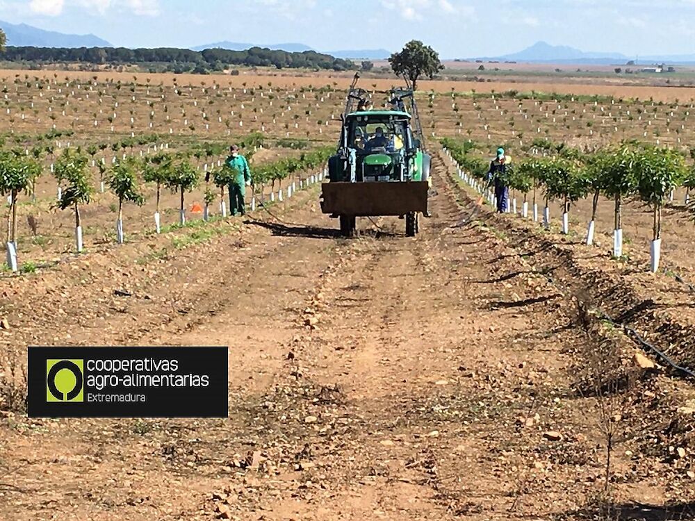 Agricultores extremeños reciclan 281 toneladas de envases y ahorran así la emisión de casi 400 toneladas de Co2 en la región