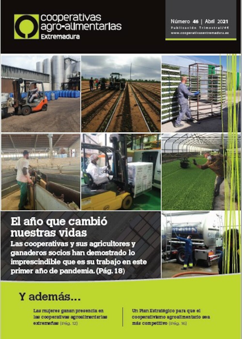 Disponible el último número de la revista Cooperativas Agro-alimentarias Extremadura