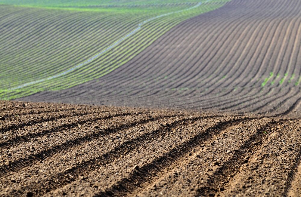 Cooperativas Extremadura muestra su satisfacción por la inclusión de La Vera como región productora en el Plan Estratégico Nacional de la PAC