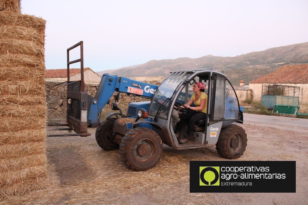 Siete cooperativas cuentan con su Plan de Igualdad gracias a Cooperativas Agro-alimentarias Extremadura