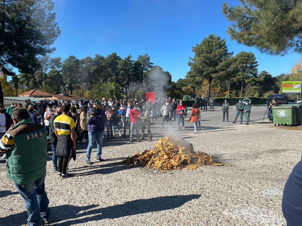 Los tabaqueros extremeños plantearán sus demandas al presidente de la Junta el próximo lunes