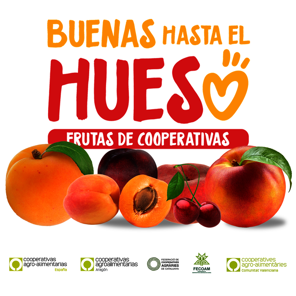 La iniciativa 'Buenas hasta el Hueso' anima a disfrutar de la fruta de hueso de cooperativas