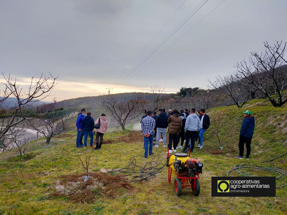 Cooperativas Extremadura capacita a 228 personas socias y trabajadoras de cooperativas a través de la iniciativa comunitaria Poises